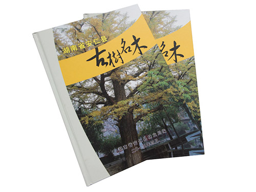 苗木业画册
