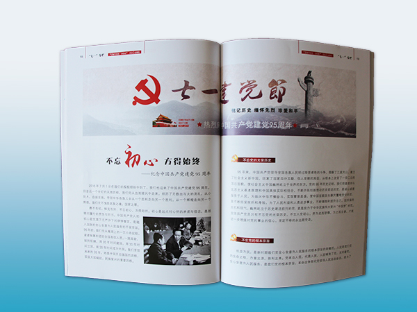 政府画册 长沙印刷厂  画册印刷