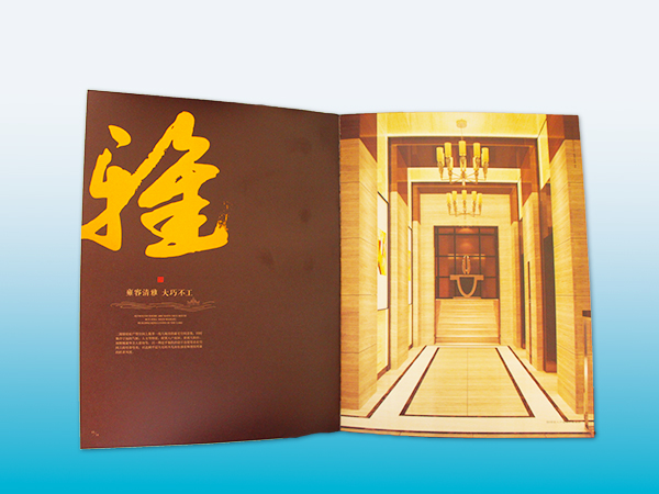 政府画册 长沙印刷厂  画册印刷